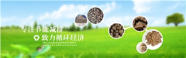 倪維斗院士：通過技術(shù)創(chuàng)新，大力發(fā)展超級(jí)能源生物質(zhì)燃料